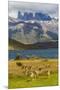 Chile, Patagonia, Torres del Paine NP. Mountains and Guanacos-Cathy & Gordon Illg-Mounted Premium Photographic Print