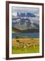 Chile, Patagonia, Torres del Paine NP. Mountains and Guanacos-Cathy & Gordon Illg-Framed Photographic Print