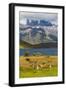 Chile, Patagonia, Torres del Paine NP. Mountains and Guanacos-Cathy & Gordon Illg-Framed Photographic Print