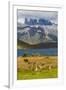 Chile, Patagonia, Torres del Paine NP. Mountains and Guanacos-Cathy & Gordon Illg-Framed Premium Photographic Print