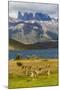 Chile, Patagonia, Torres del Paine NP. Mountains and Guanacos-Cathy & Gordon Illg-Mounted Photographic Print