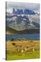 Chile, Patagonia, Torres del Paine NP. Mountains and Guanacos-Cathy & Gordon Illg-Stretched Canvas