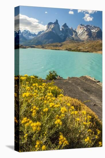 Chile, Patagonia, Torres del Paine NP. the Horns Mts and Lago Pehoe-Cathy & Gordon Illg-Stretched Canvas