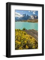 Chile, Patagonia, Torres del Paine NP. the Horns Mts and Lago Pehoe-Cathy & Gordon Illg-Framed Photographic Print