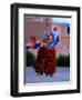 Chile Ristras of Taos, New Mexico-George Oze-Framed Photographic Print