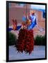 Chile Ristras of Taos, New Mexico-George Oze-Framed Photographic Print