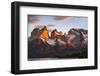 Chile, Torres Del Paine, Magallanes Province. Sunrise over the Peaks of Cuernos Del Paine.-Nigel Pavitt-Framed Photographic Print