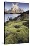 Chile, Torres Del Paine National Park-Gavriel Jecan-Stretched Canvas