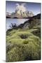 Chile, Torres Del Paine National Park-Gavriel Jecan-Mounted Photographic Print