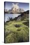 Chile, Torres Del Paine National Park-Gavriel Jecan-Stretched Canvas