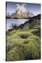 Chile, Torres Del Paine National Park-Gavriel Jecan-Stretched Canvas