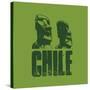 Chile-null-Stretched Canvas