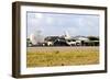 Chilean Air Force F-16A Landing with Parachute Brake at Natal Air Force Base-Stocktrek Images-Framed Photographic Print