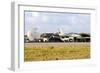 Chilean Air Force F-16A Landing with Parachute Brake at Natal Air Force Base-Stocktrek Images-Framed Photographic Print