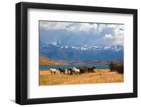 Chilean Andes. Fabulous Lake Laguna Azul. in the Distance Visible Rocks Torres Del Paine.  on the L-kavram-Framed Photographic Print