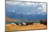 Chilean Andes. Fabulous Lake Laguna Azul. in the Distance Visible Rocks Torres Del Paine.  on the L-kavram-Mounted Photographic Print