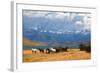 Chilean Andes. Fabulous Lake Laguna Azul. in the Distance Visible Rocks Torres Del Paine.  on the L-kavram-Framed Photographic Print