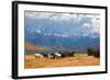 Chilean Andes. Fabulous Lake Laguna Azul. in the Distance Visible Rocks Torres Del Paine.  on the L-kavram-Framed Photographic Print