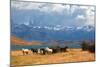 Chilean Andes. Fabulous Lake Laguna Azul. in the Distance Visible Rocks Torres Del Paine.  on the L-kavram-Mounted Photographic Print