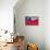 Chilean Flag-Jon Hicks-Stretched Canvas displayed on a wall