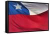 Chilean Flag-Jon Hicks-Framed Stretched Canvas