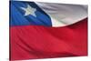 Chilean Flag-Jon Hicks-Stretched Canvas