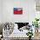 Chilean Flag-Jon Hicks-Photographic Print displayed on a wall