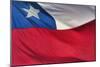 Chilean Flag-Jon Hicks-Mounted Photographic Print