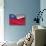 Chilean Flag-Jon Hicks-Photographic Print displayed on a wall