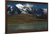 Chilean Flamingo on Blue Lake, Torres del Paine NP, Patagonia, Chile-Pete Oxford-Framed Photographic Print