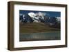 Chilean Flamingo on Blue Lake, Torres del Paine NP, Patagonia, Chile-Pete Oxford-Framed Photographic Print