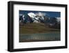 Chilean Flamingo on Blue Lake, Torres del Paine NP, Patagonia, Chile-Pete Oxford-Framed Photographic Print