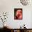 Chilean Flamingo-Adam Jones-Framed Stretched Canvas displayed on a wall