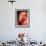 Chilean Flamingo-Adam Jones-Framed Premium Photographic Print displayed on a wall