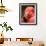 Chilean Flamingo-Adam Jones-Framed Photographic Print displayed on a wall