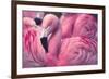 Chilean Flamingo-Jeff McGraw-Framed Photographic Print