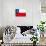 Chilean Grunge Flag. A Grunge Flag Of Chile With A Texture-TINTIN75-Art Print displayed on a wall