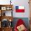 Chilean Grunge Flag. A Grunge Flag Of Chile With A Texture-TINTIN75-Art Print displayed on a wall