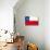 Chilean Grunge Flag. A Grunge Flag Of Chile With A Texture-TINTIN75-Stretched Canvas displayed on a wall