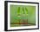 Chili Cilider Team-Yahya Taufikurrahman-Framed Photographic Print