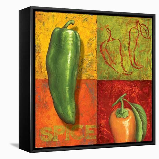 Chili IV-Delphine Corbin-Framed Stretched Canvas