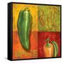 Chili IV-Delphine Corbin-Framed Stretched Canvas