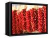 Chili Pepper Ristras, Santa Fe, New Mexico-Walter Bibikow-Framed Stretched Canvas