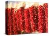 Chili Pepper Ristras, Santa Fe, New Mexico-Walter Bibikow-Stretched Canvas