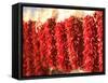 Chili Pepper Ristras, Santa Fe, New Mexico-Walter Bibikow-Framed Stretched Canvas