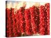 Chili Pepper Ristras, Santa Fe, New Mexico-Walter Bibikow-Stretched Canvas