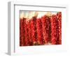 Chili Pepper Ristras, Santa Fe, New Mexico-Walter Bibikow-Framed Photographic Print