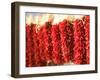 Chili Pepper Ristras, Santa Fe, New Mexico-Walter Bibikow-Framed Photographic Print