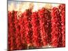 Chili Pepper Ristras, Santa Fe, New Mexico-Walter Bibikow-Mounted Photographic Print