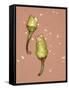 Chili Pepper with Seeds-Alexander Feig-Framed Stretched Canvas